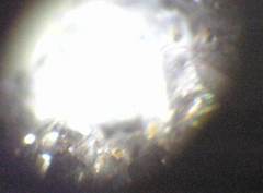 09080305.jpg