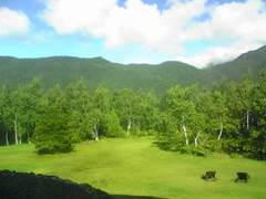 09081406.jpg