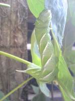 09090801.jpg