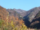 gotomiki-DSCF3445.jpg