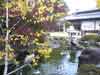 上田公園の池と紅葉